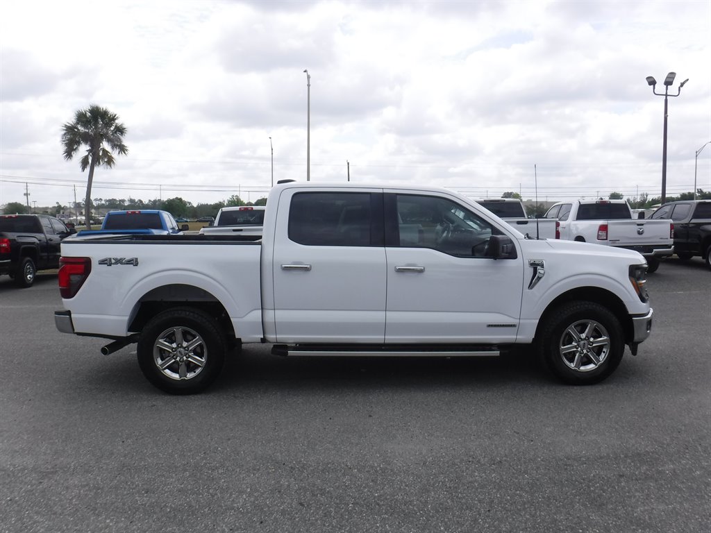 2024 Ford F-150 XLT's photo